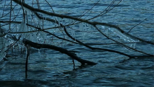 Lire la suite à propos de l’article Seul